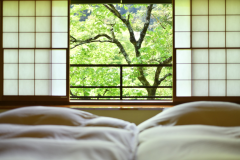 Deluxe Room 【Kaze no Yakata】 (60 m2) - View overlooking a beautiful valley Deluxe Room 【Kaze no Yakata】 (60 m2) - View overlooking a beautiful valley