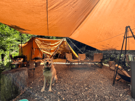 白州・尾白 FLORA Campsite in the Natural Garden | Eサイト ☆ペット