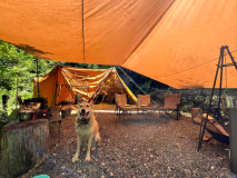 Eサイト　★ペット同伴OK！！オシャレな常設土間タイプテント★1日1組限定特別サイト