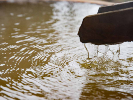 *【黄金の湯をかけ流し露天風呂付き客室】樹のしずく