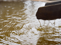 *【黄金の湯をかけ流し露天風呂付き客室】樹のしずく