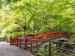*周辺観光：夏の河鹿橋