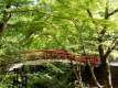 *周辺観光：夏の河鹿橋