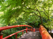 *周辺観光：夏の河鹿橋