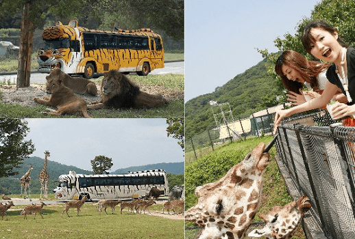 夢乃井 プランの詳細 姫路セントラルパーク 姫路セントラルパーク入場券付プラン 夢乃井 姫センは車で約30分