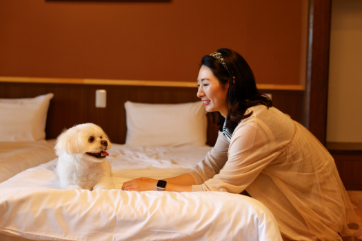 新しくなったDogフレンドリールーム（滞在イメージ）