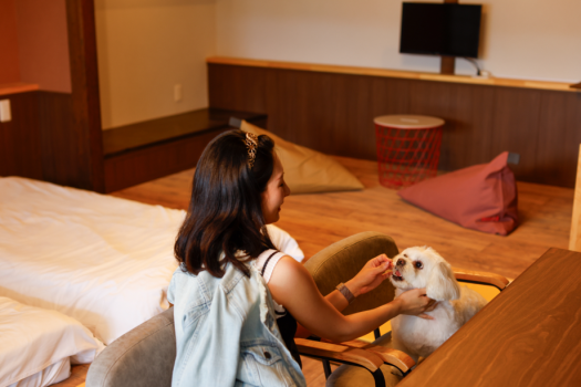 新しくなったDogフレンドリールーム（滞在イメージ）