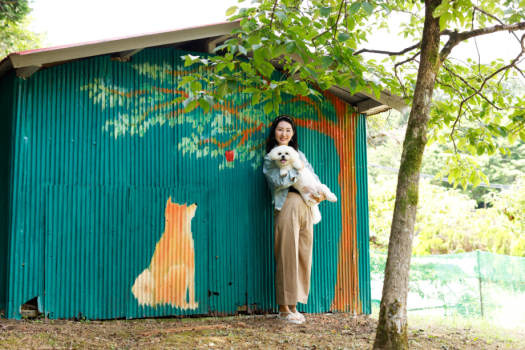 ドッグランでの愛犬とのひととき