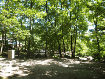 【基本プラン】　~ファミリープラン~