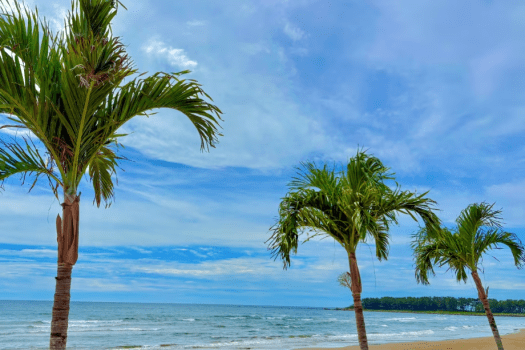 雄大な日本海の波音をBGMにラグジュアリーステイ♪【お食事は自由にお持ち込みで/素泊りプラン】