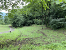 ソロサイトスペースです。当キャンプ場唯一の木陰サイトになっています。