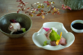 【欅の宿 縁の食事&素泊まり】信楽で暮らし、自ら土を耕す料理人が、採れたての野菜そして厳選された食材を活かし、一日一組のために、心を尽くします。