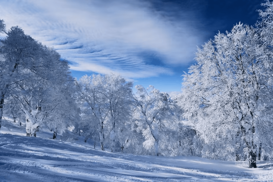 【野沢温泉スキー場】当宿から徒歩5分！極上のパウダースノーでスキー＆スノーボードをエンジョイ！