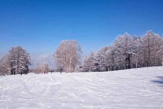 【野沢温泉スキー場】当宿から徒歩5分！極上のパウダースノーが楽しめる、日本屈指のゲレンデです。