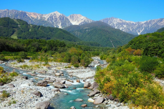 【白馬岳】お車で2時間半。夏も残る大雪渓と多様な高山植物。北アルプスの名峰の中でも屈指の人気です。