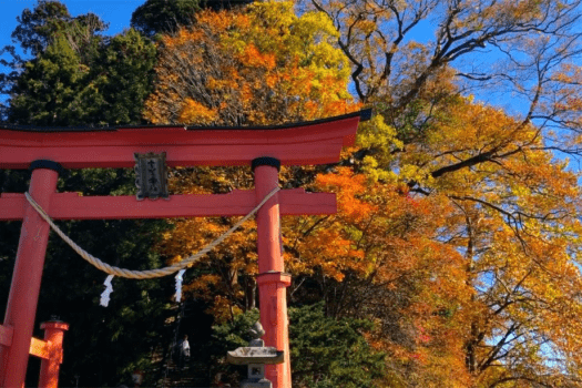 【宇賀神社】お車で約50分。野尻湖北西部に浮かぶ、自然豊かな琵琶島の神社です。散策におすすめ! 【宇賀神社】お車で約50分。野尻湖北西部に浮かぶ、自然豊かな琵琶島の神社です。散策におすすめ!