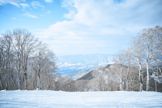 【野沢温泉スキー場】当宿から徒歩5分！雪質最高！思い出に残るスノーリゾートです。