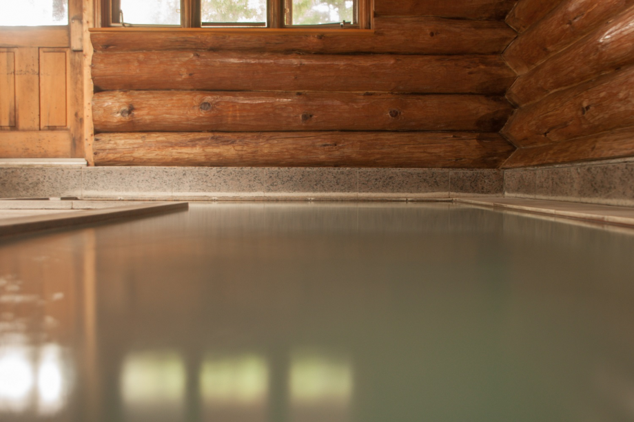 Lodge DENBEY Plan details Early Booking Package /Dinner and