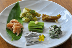 【春～初夏の味覚】山の宿ならではの豊富な山菜