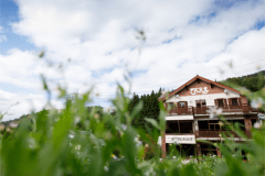 豊かな自然に囲まれた夏のでんべえ
