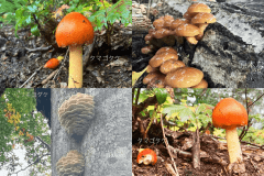 【お日にち限定・直前割】基本プランが2000円お得に／夕朝食付