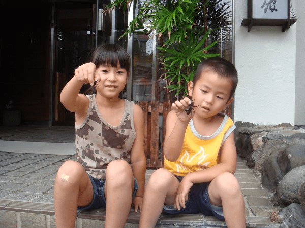 【夏季限定8/31迄】自然&times;温泉&times;猫と遊ぶ夏休み満喫プラン【素泊まり】