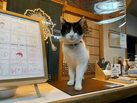 Accommodation plan with breakfast