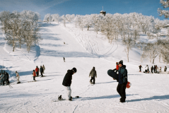 【春季限定※3/1～3/31迄】お部屋はお宿おまかせ＊温泉＆春スキー満喫プラン【１泊朝食付】