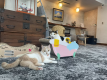 【春季限定※3/1～3/31迄】お部屋はお宿おまかせ＊温泉＆春スキー満喫プラン【１泊朝食付】