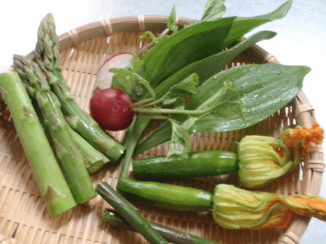 春野菜
