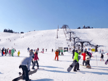 【箱館山スキー場★1日リフト券&times;素泊り】スキー5大特典付★