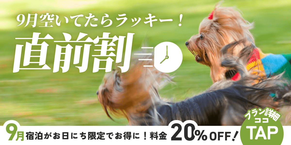 ◇◆直前割・20％OFF◆◇空いていればラッキー♪直前予約でお得に楽しむドッググランピング【素泊まり/選べるお食事】