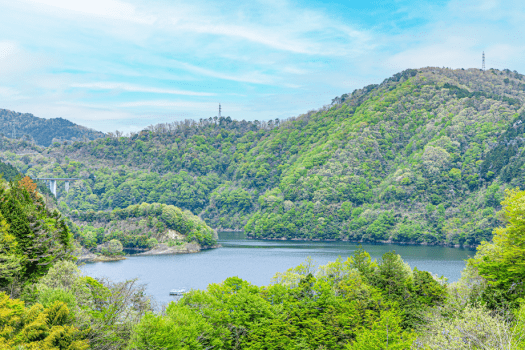 Dome Tent with 【Lake View】