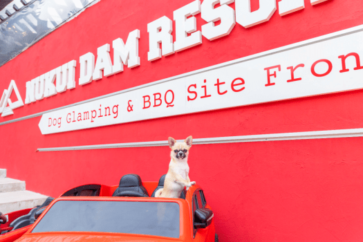 広島グルメを食す♪広島/安芸太田の新鮮食材を楽しむ1泊2食付きプラン♪【愛犬とグランピング/温泉チケット付】