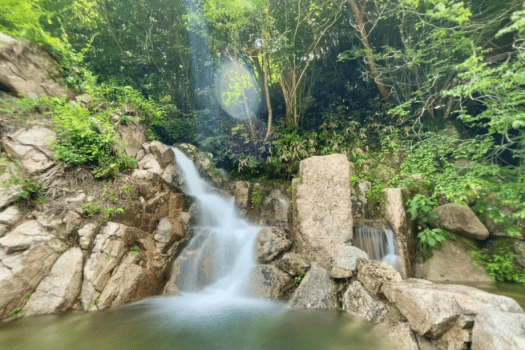 【貸切サウナ】丸いサウナととのいプラン【日帰りOK】