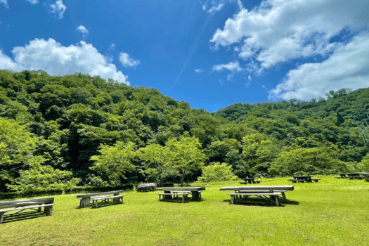 【オートキャンプサイト】日帰りでキャンプを満喫♪デイプラン【ペット同伴OK】