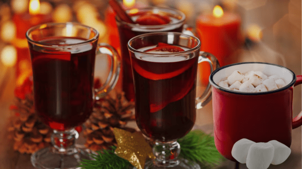 【11月8日～12月25日限定♪クリスマス特別プラン✨】◆愛犬との絆を深める３種のプレゼント付きクリスマスキャンペーン◆お食事選択可能【愛犬とグランピング/温泉チケット付】