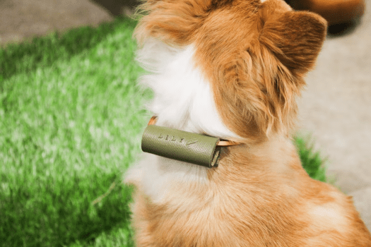 愛犬のお名前やイニシャルを刻んでつくる世界にひとつのオリジナルタグ。