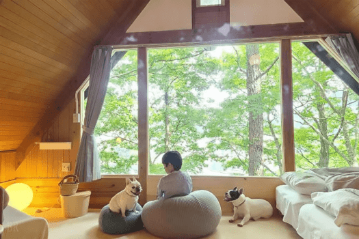 【素泊まり/お食事無し】お食事は自由にお持ち込みOK♪素泊りで楽しむドッググランピング【愛犬とグランピング/温泉チケット付】