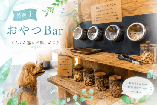 【初夏限定／7/17までの特別セール】土日も対象・20%OFF｜雨でも楽しめる5大特典付！広島・温井ダムで愛犬と楽しむ自然満喫グランピング〈素泊まり・食事選択可〉