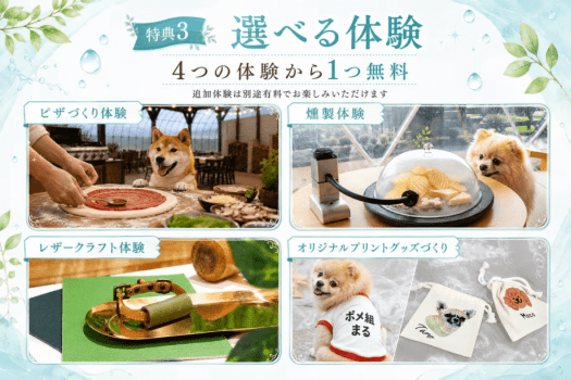 【初夏限定／7/17までの特別セール】土日も対象・20%OFF｜雨でも楽しめる5大特典付！広島・温井ダムで愛犬と楽しむ自然満喫グランピング〈素泊まり・食事選択可〉
