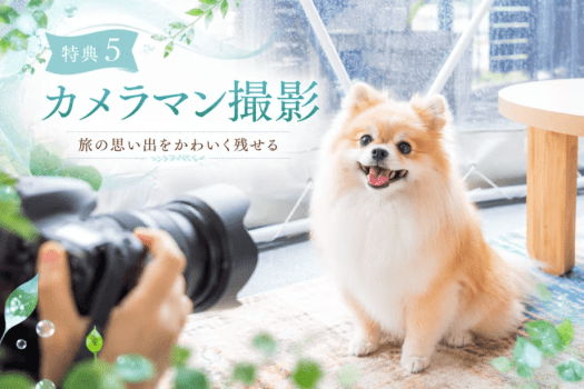 【初夏限定／7/17までの特別セール】土日も対象・20%OFF｜雨でも楽しめる5大特典付！広島・温井ダムで愛犬と楽しむ自然満喫グランピング〈素泊まり・食事選択可〉