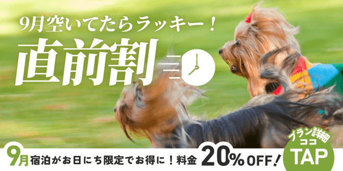 ◇◆直前割・20％OFF◆◇空いていればラッキー♪直前予約でお得に楽しむドッググランピング【素泊まり/選べるお食事】