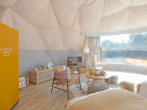 シングルドーム