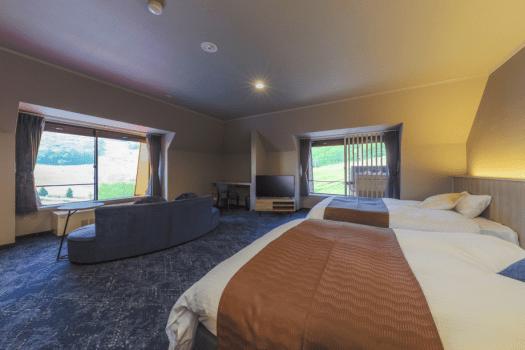 Executive Suite - approx. 70 m&sup2; - top floor -  Limited to one room / Non-smoking