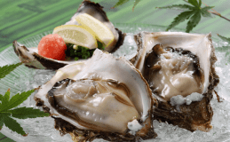 今が旬の岩ガキを食す【岩ガキ付き初夏の美食プラン】