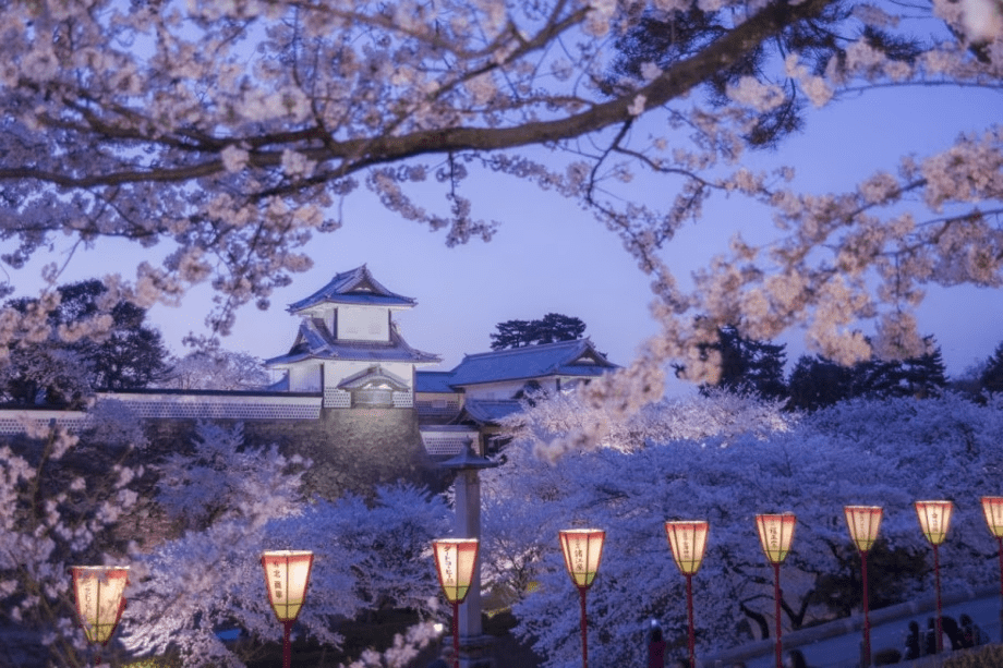 【3日間限定開催】春の芸妓お座敷体験｜にし茶屋街の伝統文化を味わう旅へ特別ご招待＜2食付き＞