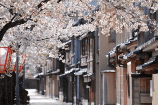 【3日間限定開催】春の芸妓お座敷体験｜にし茶屋街の伝統文化を味わう旅へ特別ご招待＜2食付き＞