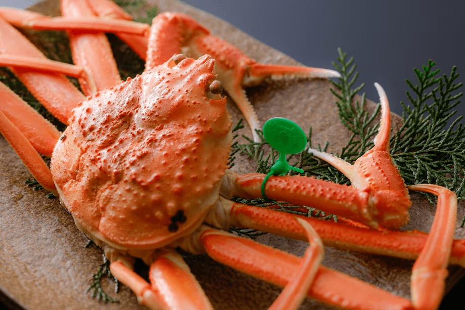 【冬・夕食】山陰松葉蟹［一例］　茹で蟹はタグ付きの山陰松葉蟹をご用意（お一人様半身）