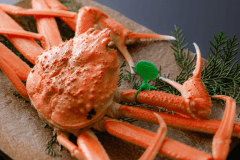 【冬・夕食】山陰松葉蟹［一例］　茹で蟹はタグ付きの山陰松葉蟹をご用意（お一人様半身）